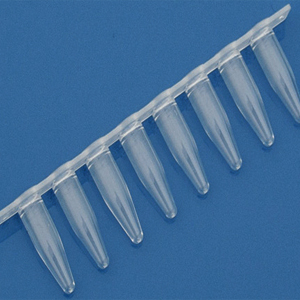 0.2 ml 8-Tube PCR Strips without Caps, high profile, blue